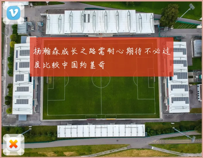 杨瀚森成长之路需耐心期待不必过度比较中国约基奇